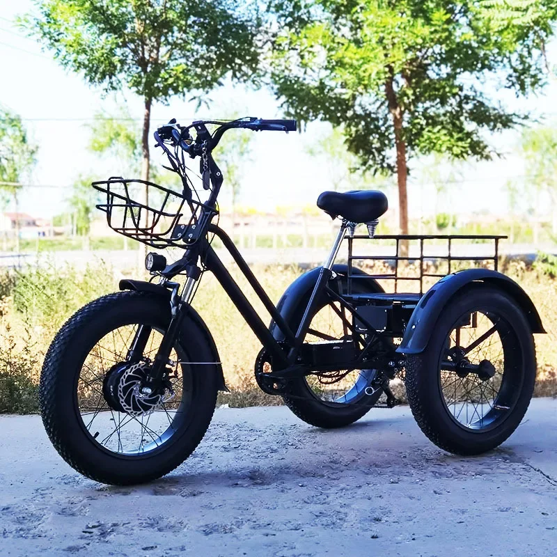 

3 Wheeled Electric Tricycle For Family 48V 750W Electric Bicycle Fat Tire 20 Inch Pedal Tricycle For Elders Large Basket
