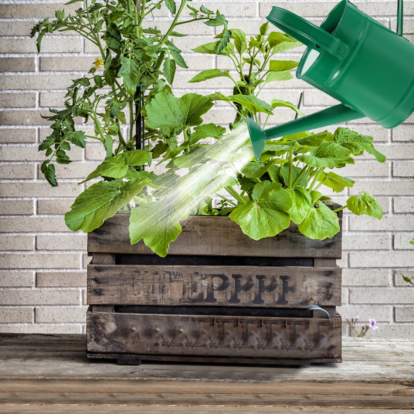 

Children's Watering Pot Small Can Toddler Kids Outdoor Plant Decorative Garden Bucket Long Spout Iron for Indoor Plants Sheet