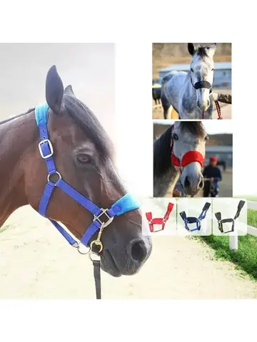 Soft Padded Pony Horse Halter Bridle Headstall Head Collar Horse Riding Stable Horse Bridle Headstall Accessories Western
