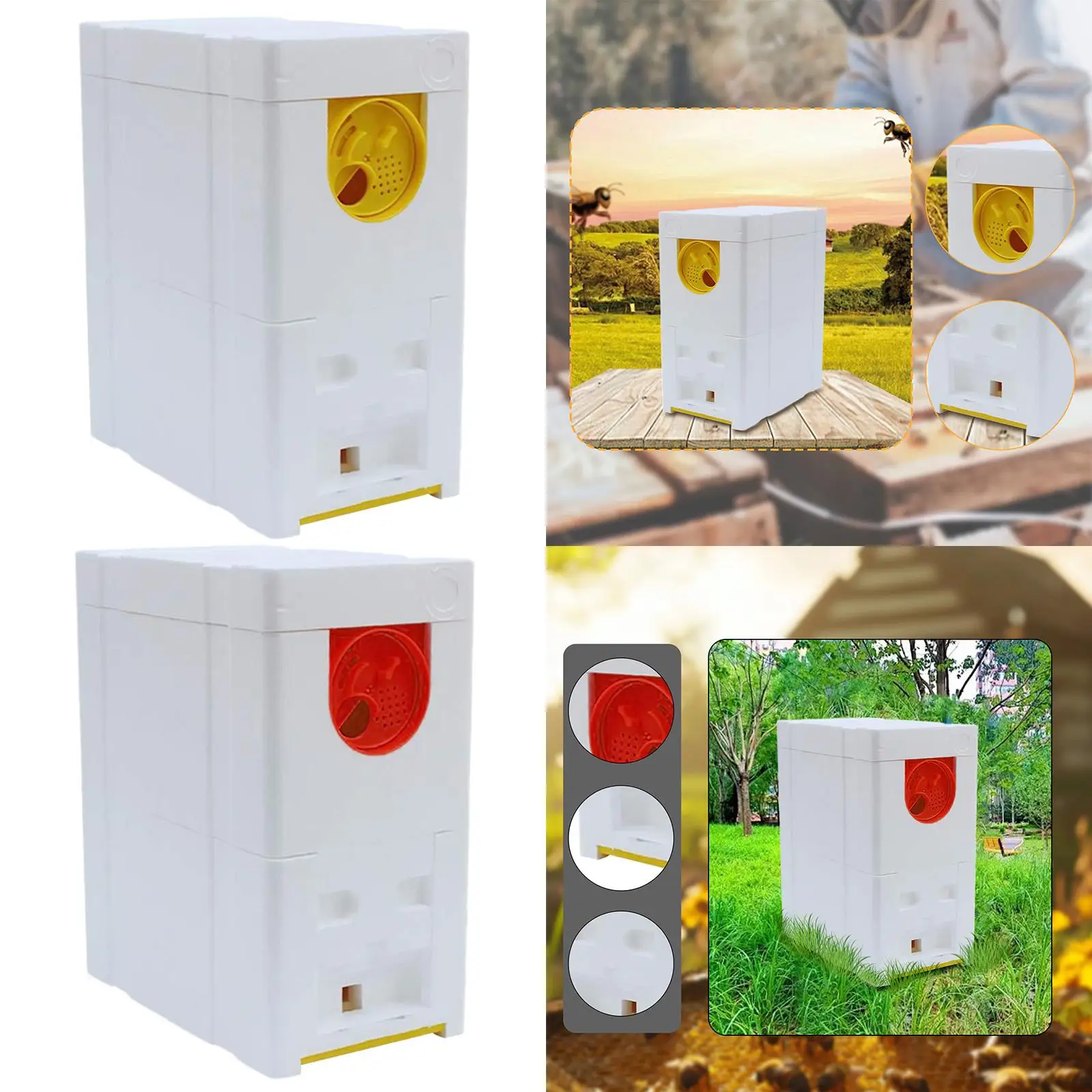 Queen Breeding Box Bee Hive Supplies for Early Spring Hot Summer late Autumn