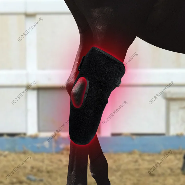 1pcs Infrared infrared pet sports wound recovery horse rear knee portable phototherapy instrument