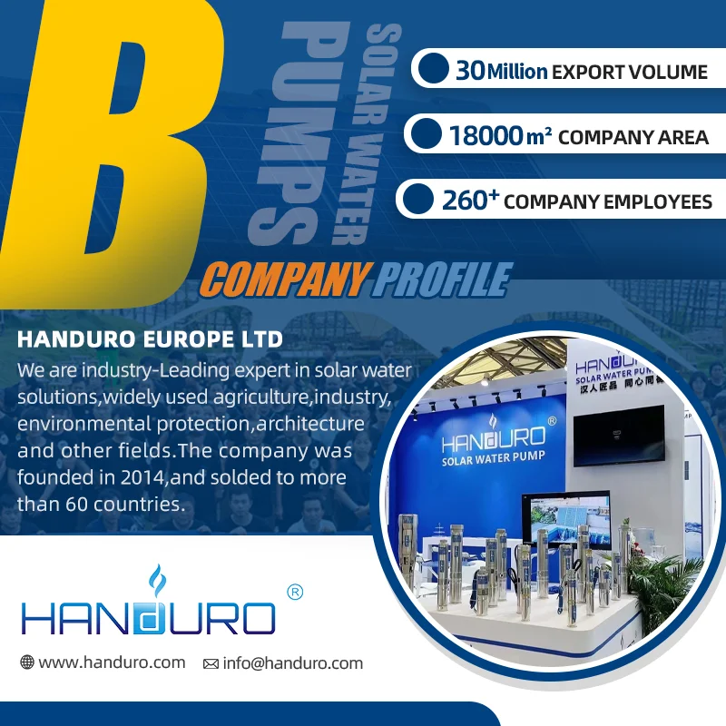 مضخات شمسية غاطسة بئر عميق للزراعة 3HP 4 بوصة 13 م 3 / ساعة 110 م 220 فولت مياه تعمل بالطاقة الشمسية P