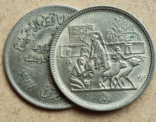 25 ملم مصر 1977 FAO منظمة الطعام العالمية مجموعة العملات المعدنية الأصلية