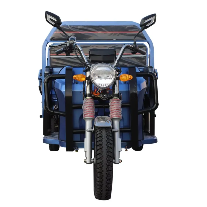 Energy Saving Electric Tricycle Three Wheel Cargo Electric Trike Low Power Consumption Farm Short Distance Goods Haulage Long