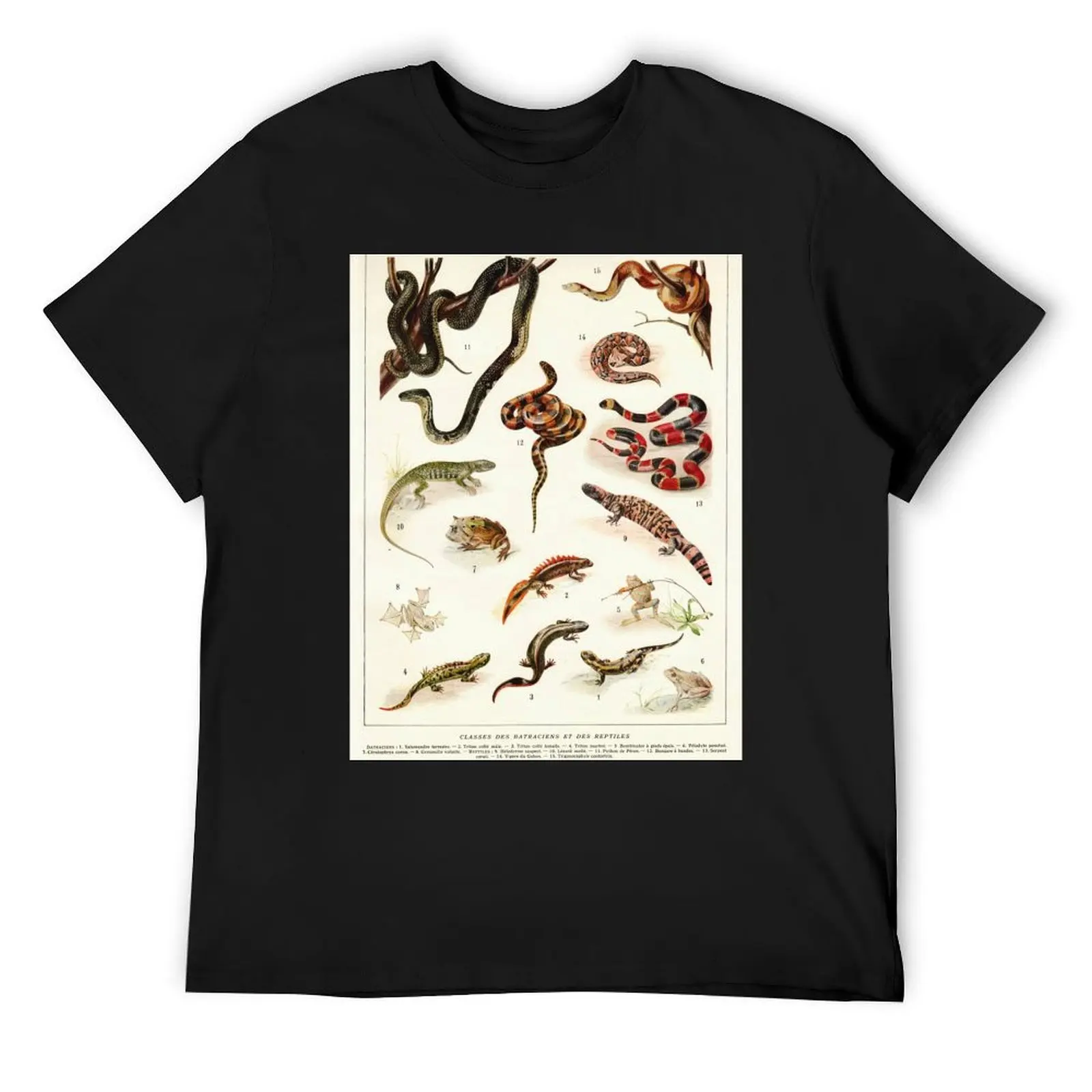 Adolphe Millot - Batraciens et reptiles - French vintage zoology poster T-Shirt summer clothes t shirts for men