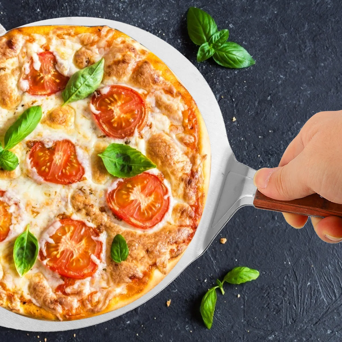 

Pizza Spatula Shovel Stainless Steel Bread Pan Large Size Kitchen Tool Easy Cleaning Hanging Practical Transfer Cake Pie