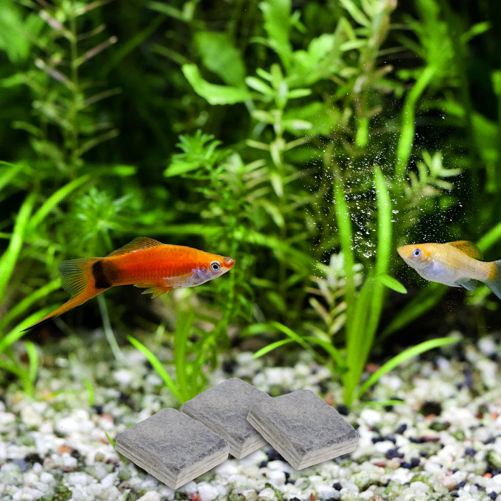 

10Pcs Aquarium Landscape Stone Natural for Turtle Tank Basking Rock Fish Tank Decorations Freshwater Aquarium Rocks