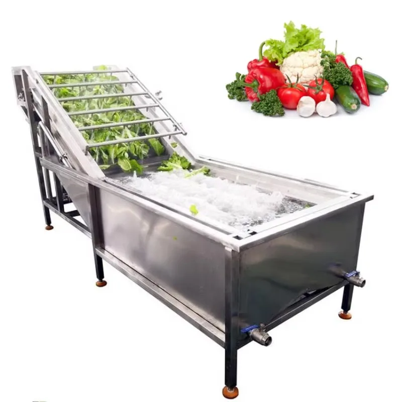 Electric High Efficiency Bubble Cleaning Fruit and Vegetable Machine Customized 304 Stainless Steel for Spinach and Lettuce