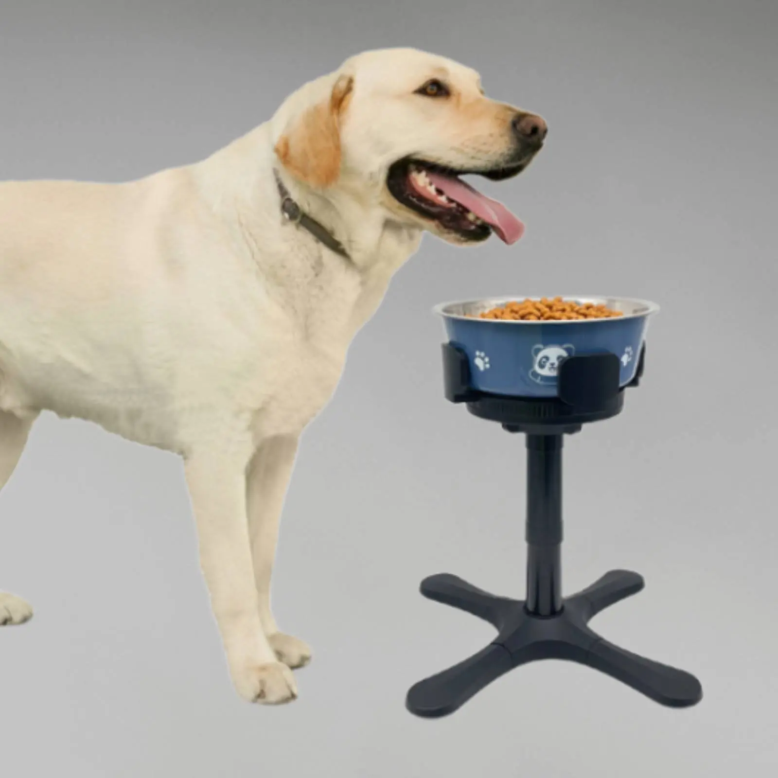Tilting Raised Dog Bowl Stand Anti-Tip Height Adjustable Pet Feeding Station for Large Dogs