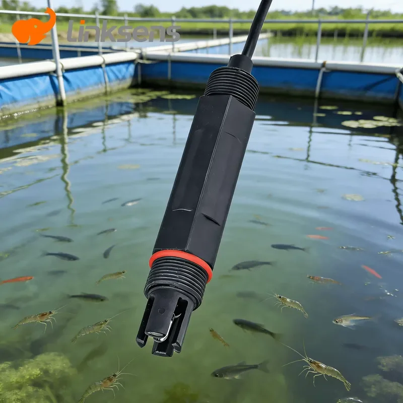 High Precision RS485 pH Sensor for Aquaculture Water Quality Monitoring with Powerful LoRaWAN Wireless RS485 pH Sensor