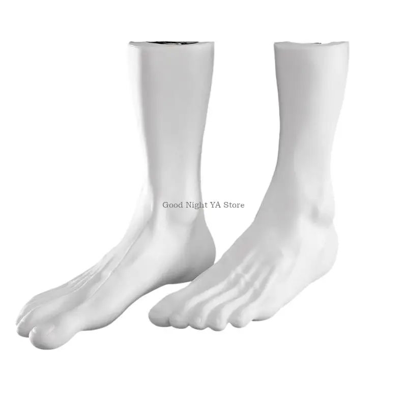Anatomically Accurate Female Foot Display Model for Art Classes Photography