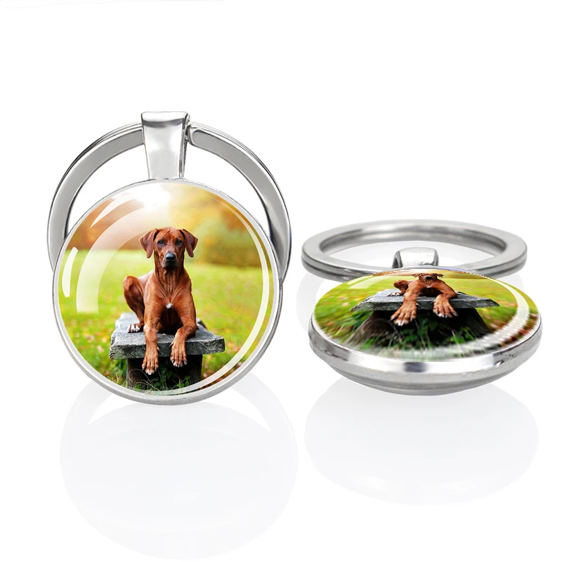 Dog Keychain Cute Dog Dachshund, German Hound Picture Glass Cabochon Double Side Keychain Fashion Accessories Handmade Gift