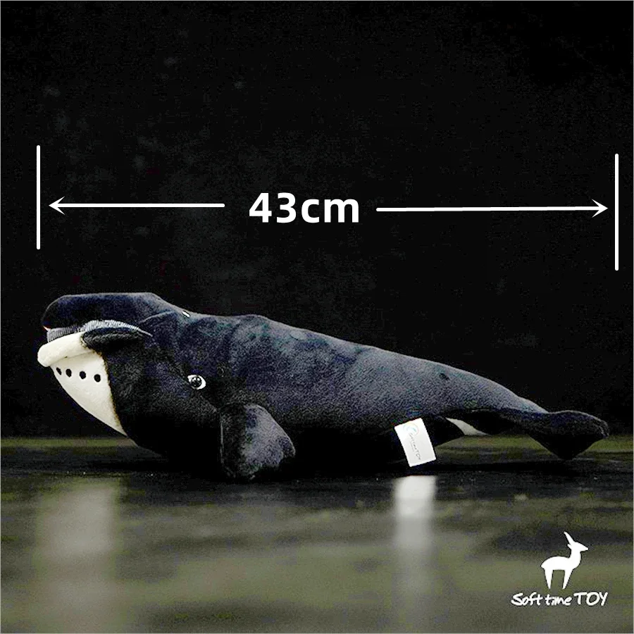 Bowhead Whale High Fidelity Anime Cute Plushie Humpback Right Whale Plush Toys Lifelike Animals Simulation Stuffed Doll Kawai