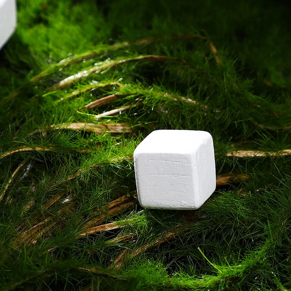 Reptile Amphibian Mineral Rock Supplement for Turtle Tortoise Lizard Frog Chameleon Natural Calcium Trace Elements Shell