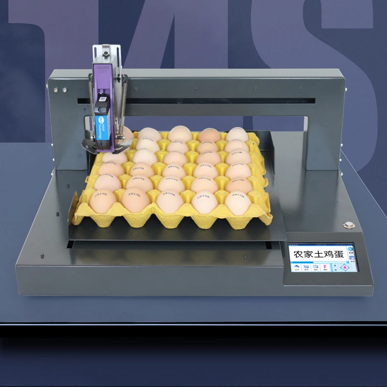 

DP1-150-600 Single Head Screen Auto Egg Inkjet Printer for Label Expiry Date stamp Inkjet Logo Barcode Printing Coding Machine