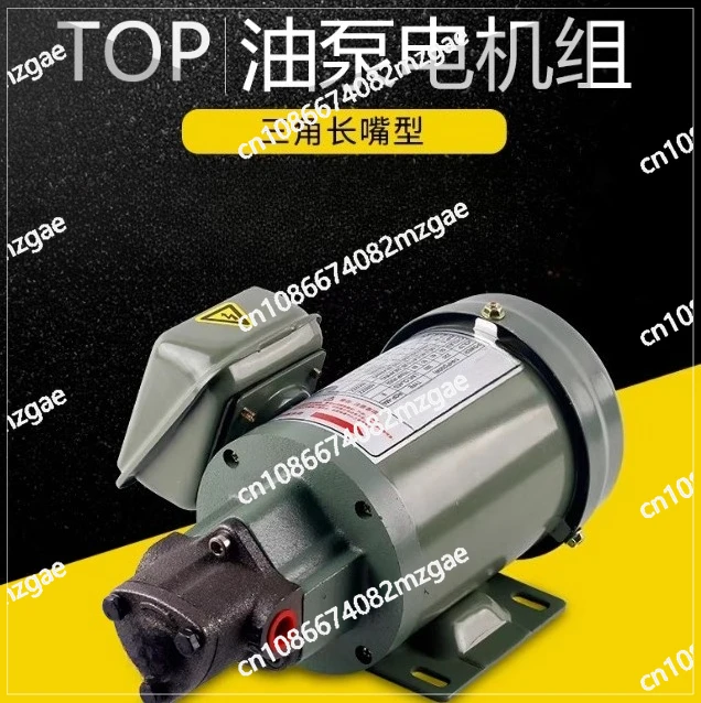 220V 380V Top-10A/11A/12A/13A Cycloid Pump Triangular Lubricating Oil Pump Head Motor Oil Gear Triangle Lubrication Pump