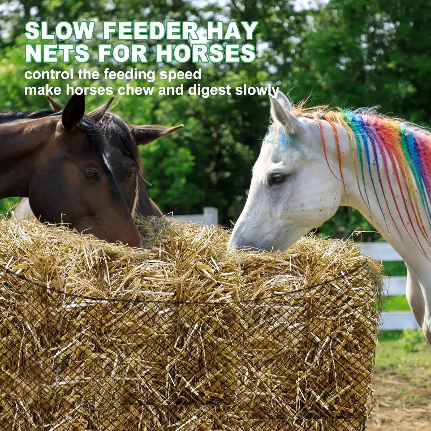 شبكة قش مستديرة من النايلون الأسود بطول 5 × 5 أقدام مع خدمة قطع للماشية #3