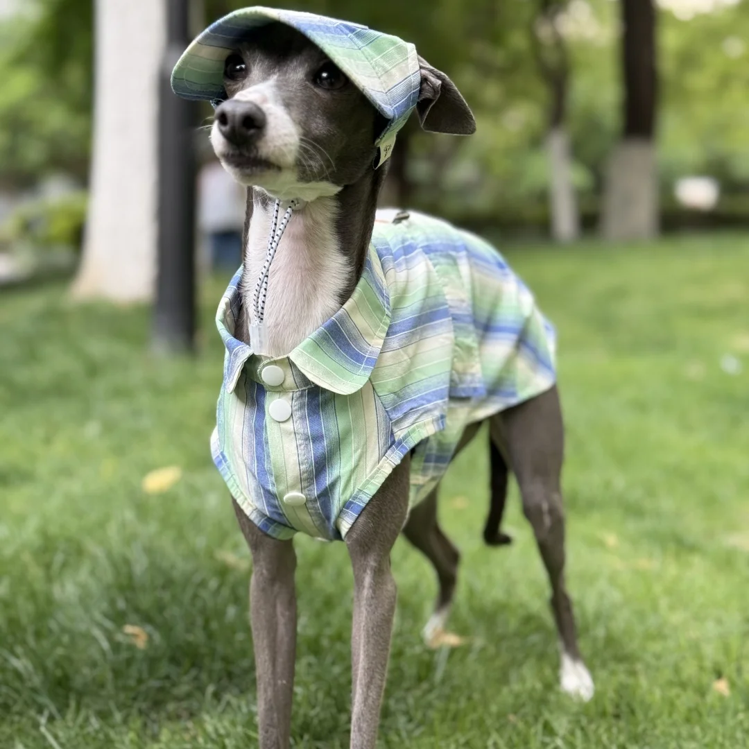 Sun Protection Blue Striped Shirt for Italian Greyhound Ice Silk Fiber Sleeveless Green Coat for Mid Dogs Summer Hat For Whippet