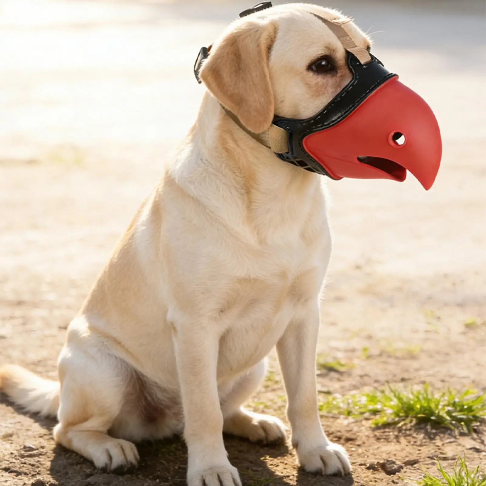 Muzzle For Dogs Parrot-Shaped Puppy Barking Correction Cover Dog Prevent Chewing Muzzle For Walking Grooming Training Outdoor
