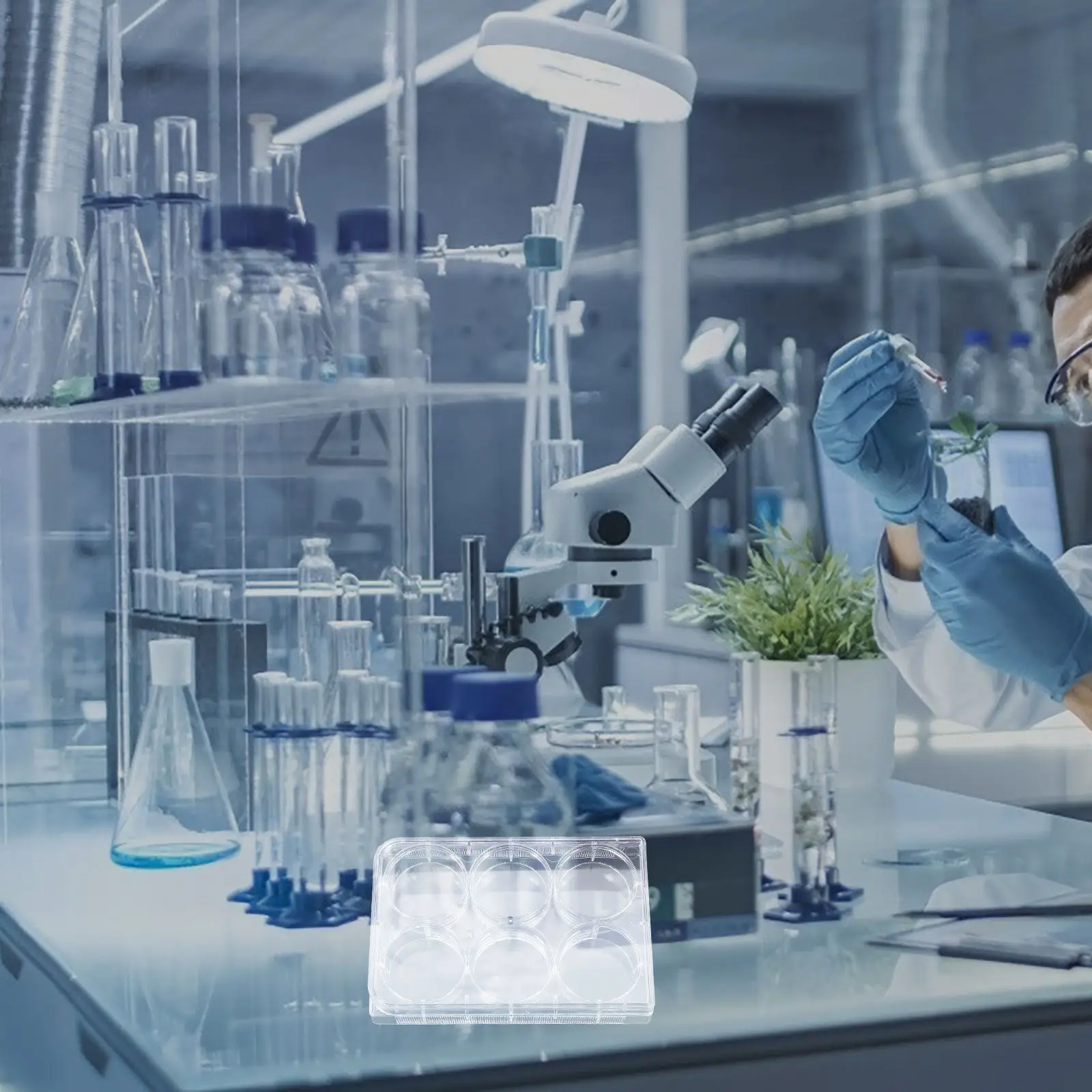 6-Well Cell Culture Plate Tissue Culture Tray for Laboratory Design for Simultaneous Sample Testing Lab Equipment