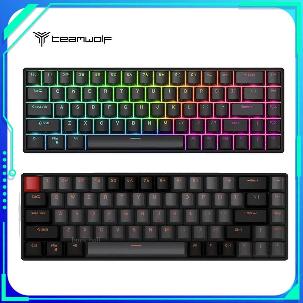 

Teamwolf Raven68 Wired Magnetic Switch Mechanical Keyboard RGB Backlight E-Sports Customized Gaming Keyboard 8k Fast Trigger PC