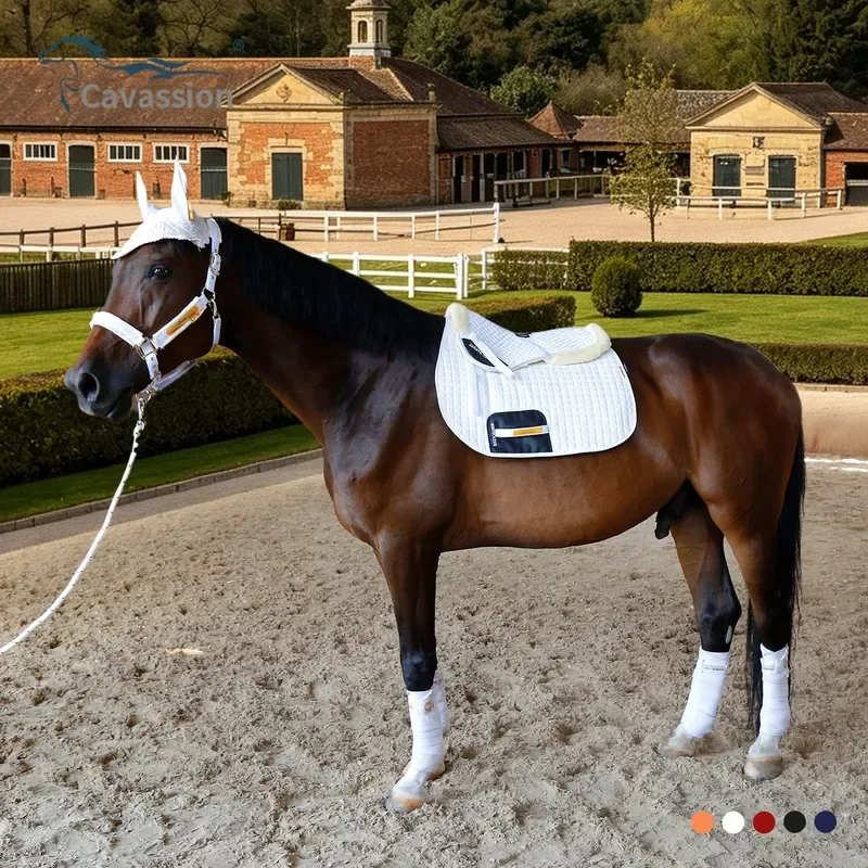 Ear muffs, saddle pads, leggings, bridle, horse rope, six-piece set of horses, free matching combination harness, equestrian
