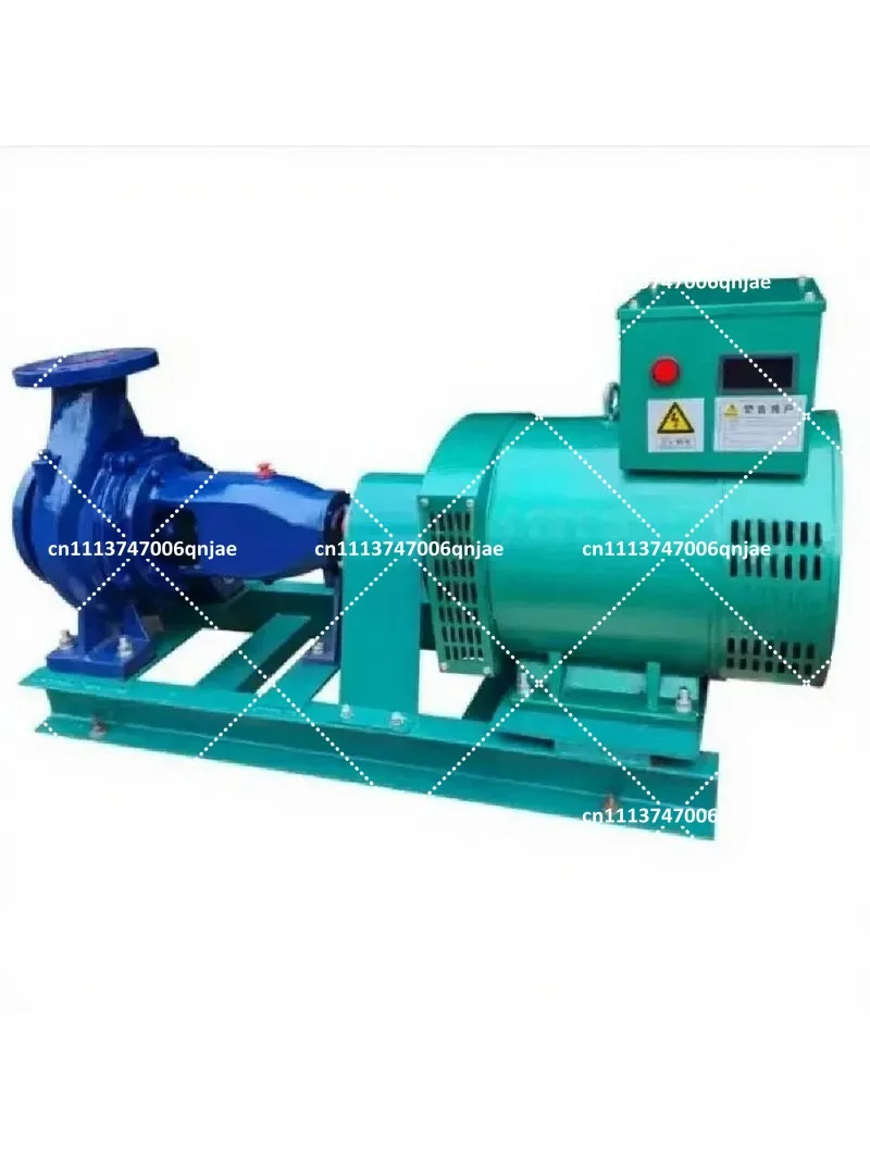 Mini Brushless Hydroelectric Generator 3KW 5KW 8KW 10KW Double Nozzle Turbine for Off-Grid Power