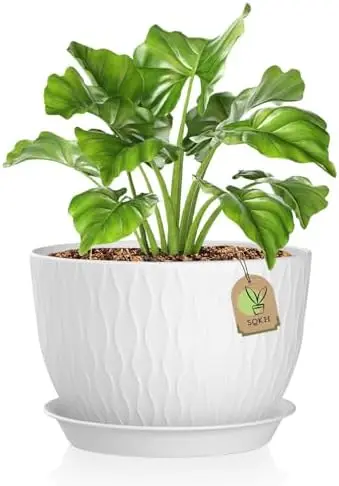 

12-дюймовые горшки для растений с дренажными отверстиями, белые цветочные горшки для дома и улицы