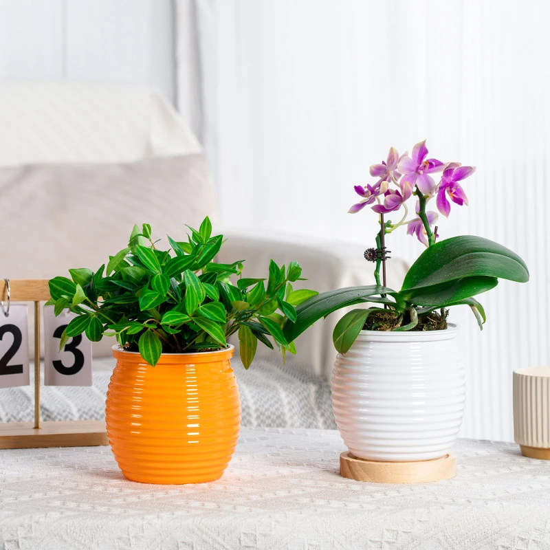 1Pc Automatic Water-Absorbing Self-Watering Plant Pots Double Layer Transparent Flower Vase Plastic Home Decorations 1PC