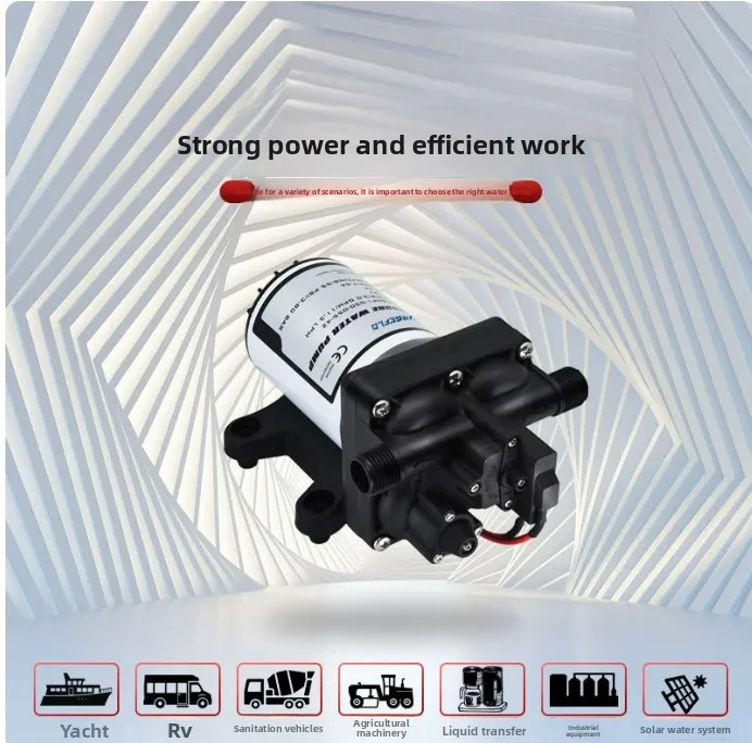 42 Series Electric Diaphragm Pump 12V 24V Self-Priming for RV Boat Irrigation