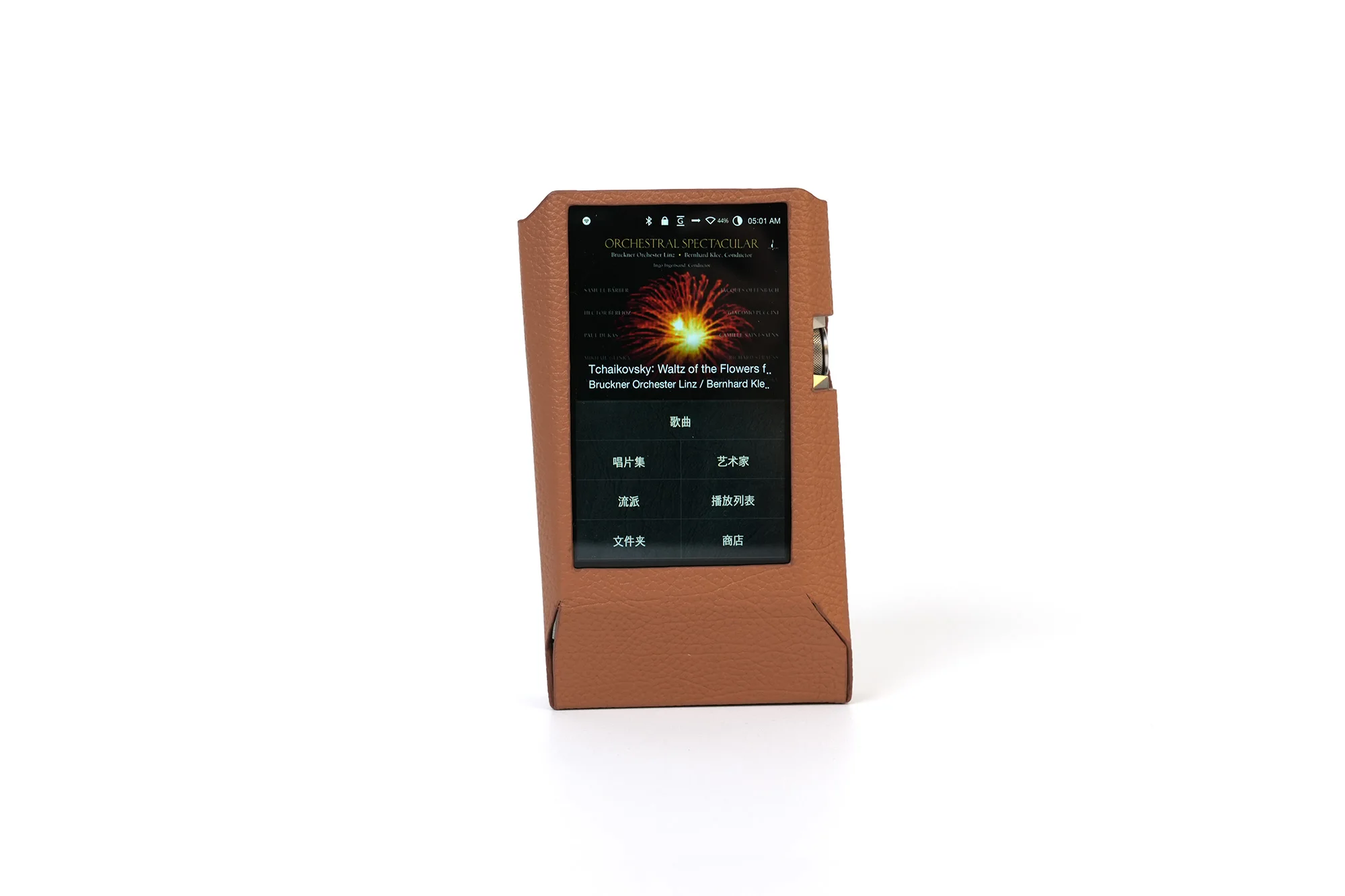 

A6 Custom-Made Genuine Leather Case For IRIVER Astell&Kern AK380+AMP