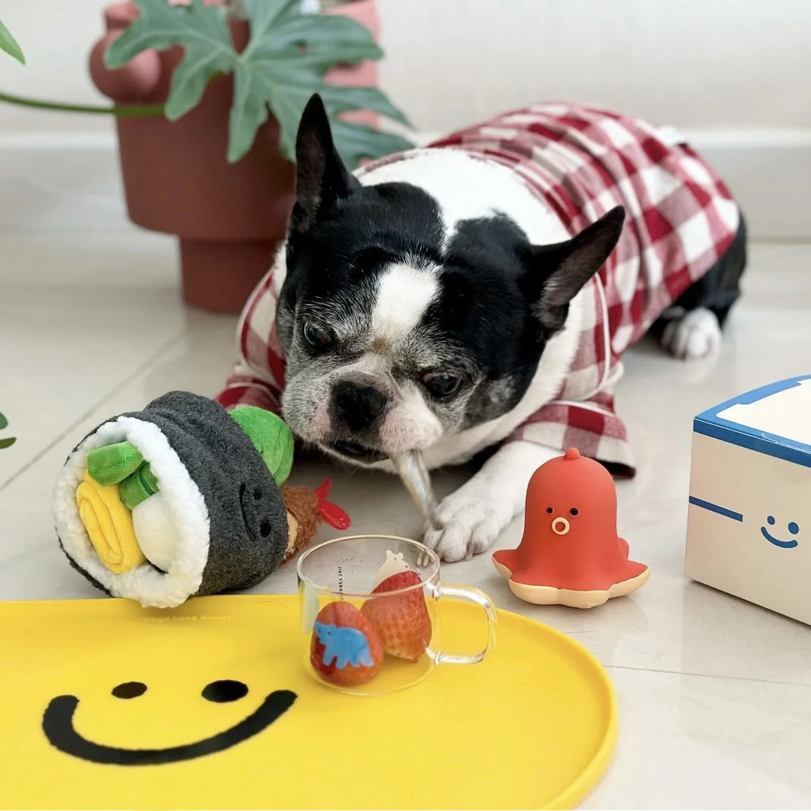 INS New Pet Toys Chewing And Hiding Food Nori Rice Balls Sniffing Bb Barking Vocal Toys Puppy Slow Food Boredom Relief Dog Toys