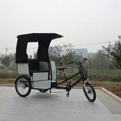 Pedal Human Passenger Tri-Wheel Bike Scenic Spot Manned