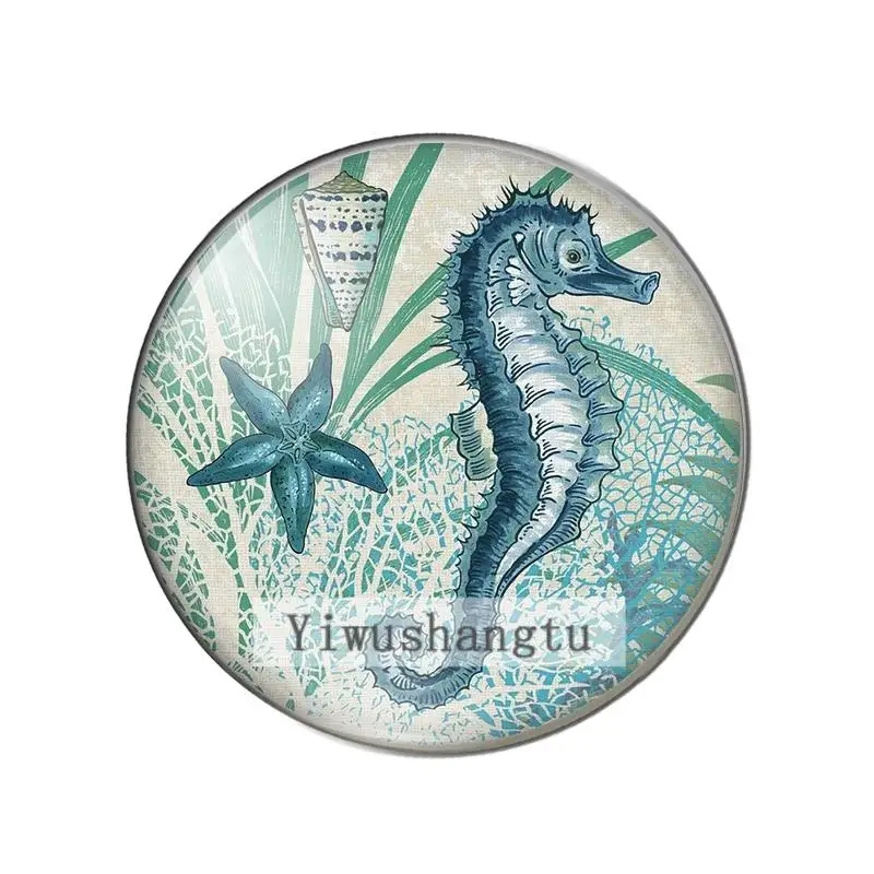 Graphic art sea horse starfish 8mm/10mm/12mm/18mm/20mm/25mm Round photo glass cabochon demo flat back Making findings ZB0543