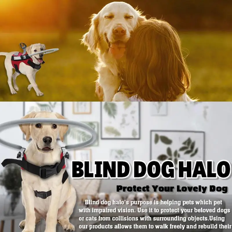 Blind Dog Halo Pet Anti Collision Ring Halo Harness For Blind Dogs Cats To Protect & Build Confidence Collar Vest Blind Pets