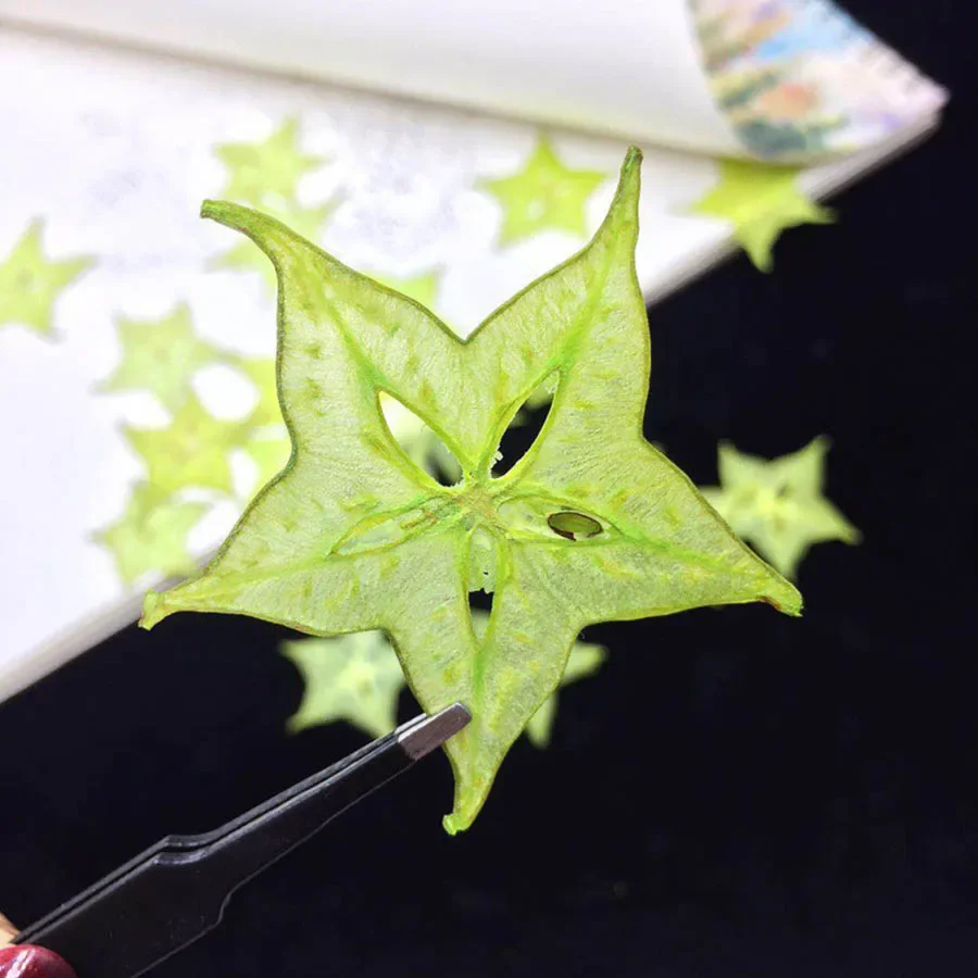 5pcs Dried Pressed Exopy Dyed Carambola Fruits Slices Plant Herbarium For Photo Frame Phone Case Bookmark Scrapbook Craft DIY