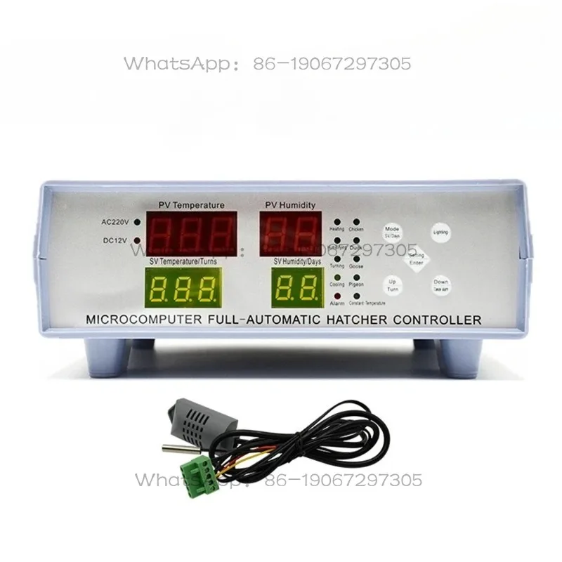 Intelligent Eggs In…