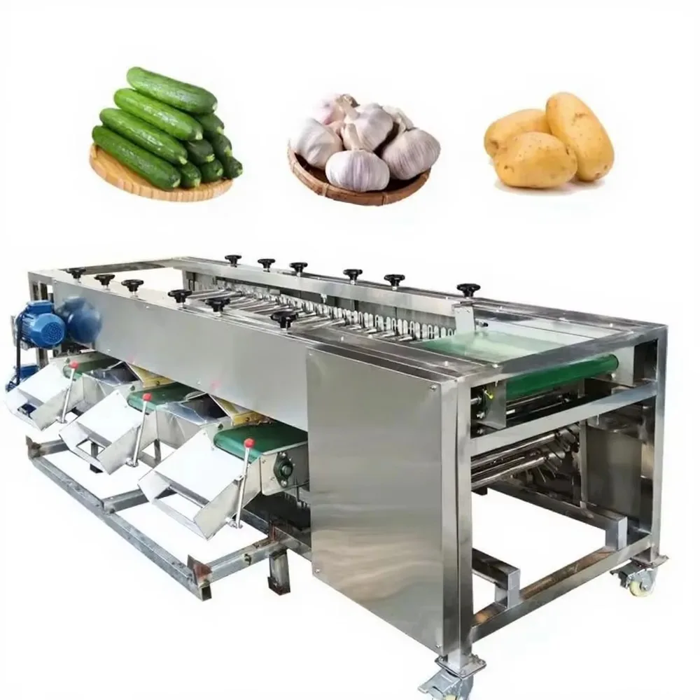 Industrial Fruit Vegetable Grading Sorting Machine Stainless Steel Electric 220V/380V 1.5KW Multifunctional Sorter for