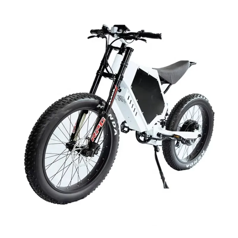 

Wholesale Price 3000w 5000w 8000w Hub Motor Fat Tire Motorcycle Wheel Electric Moutain Bike Delivery Ebike