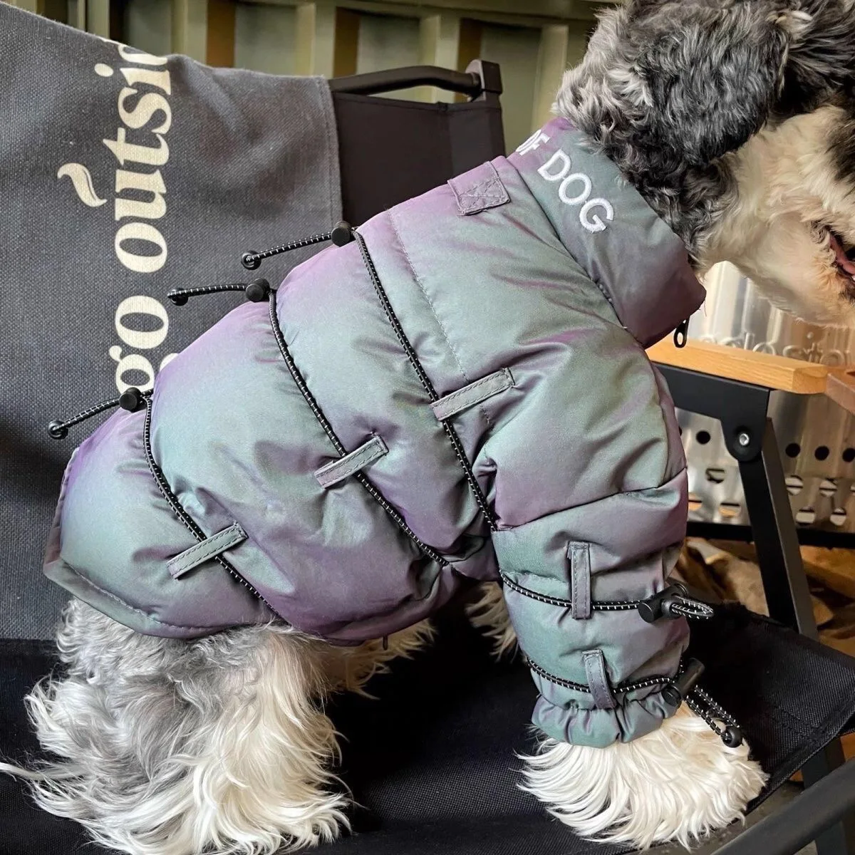 Pet Dog Cat Clothes Down Coat Cotton Winter Thicken Dogs Clothing Pet Outfits Cute Autumn Winter Yorkies Schnauzer Warm Overcoat