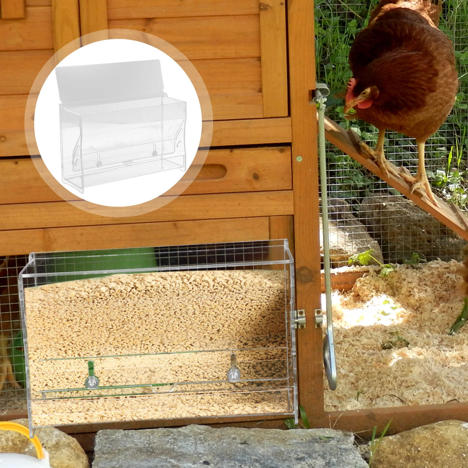 

Automatic Chicken Feeder Acrylic Transparent Food Dispenser For Rutin Chicken Parrot Poultry Multi-Use Feeding Bowl