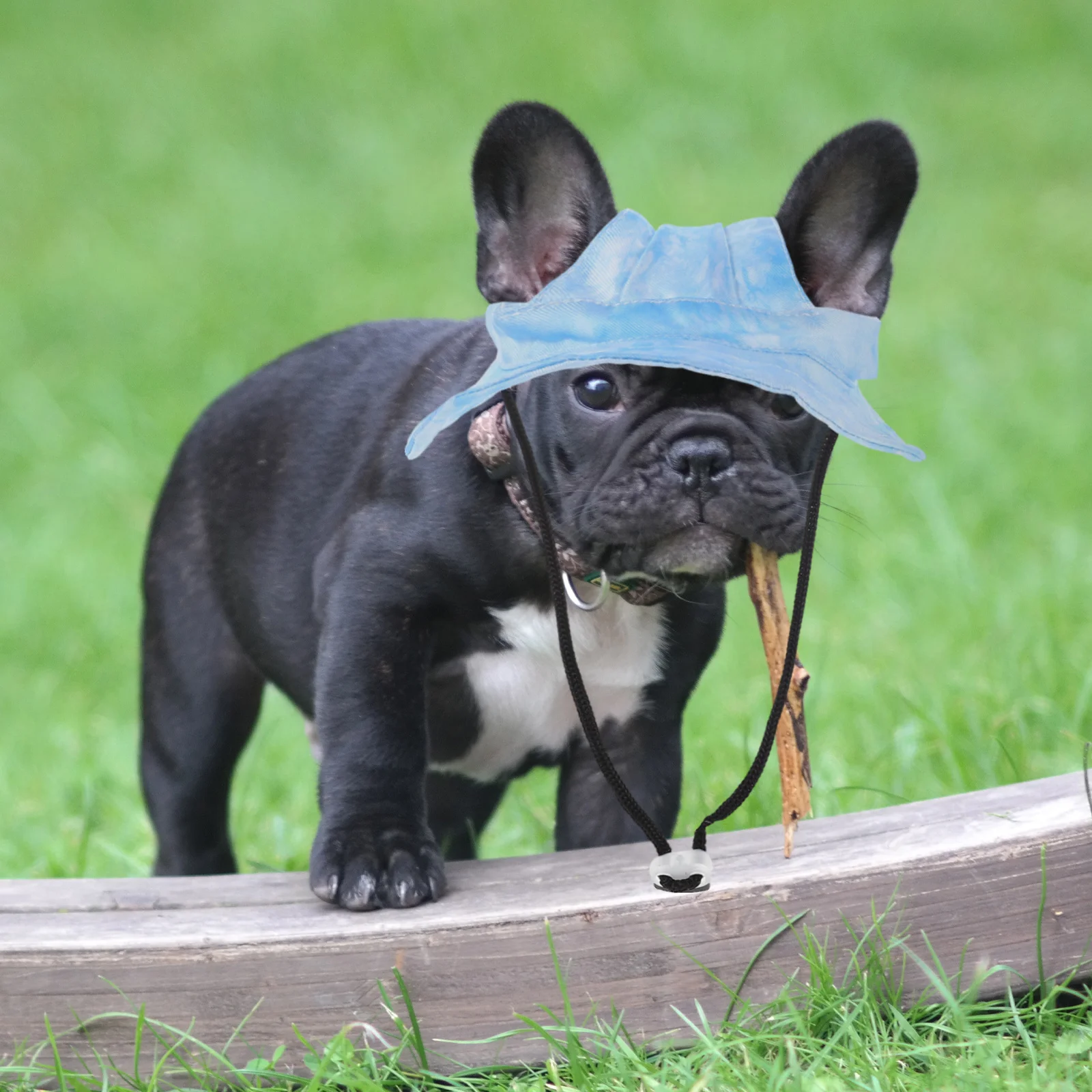 

Pet Sun Hat Adjustable Summer Cap Uv Protection Ear Cutouts Fisherman Hat About 35cm Head Circumference Small Dogs Cats Outdoor