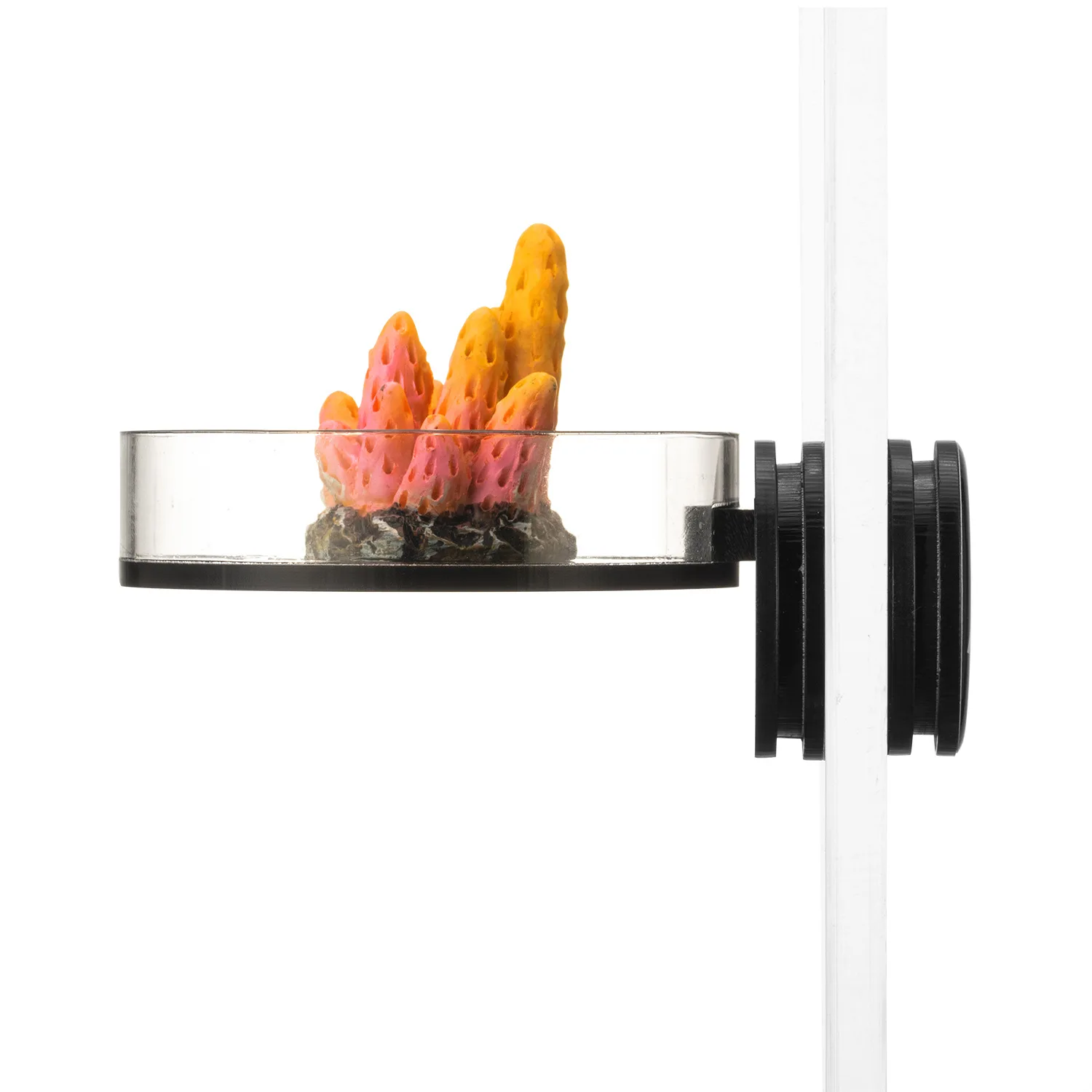 Marine Sources 70mm Black Magnetic Coral Frag Rack -  Strong Hold Floating Shelf for SPS Corals, Anti-Blow Aquarium Tool