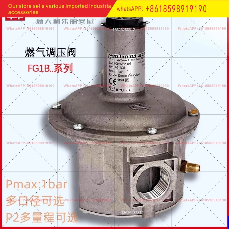 Decompression regulator FG1B15 FG1B25 FG1B40 FG1B50 100 ST1B80