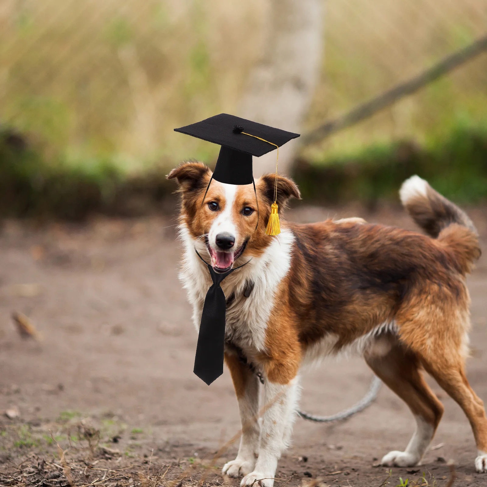 

Pet Graduation Caps Puppy Doctoral Hat Polyester Dog Garment Costume Accessories Comfortable Skin Friendly Wear Long Time