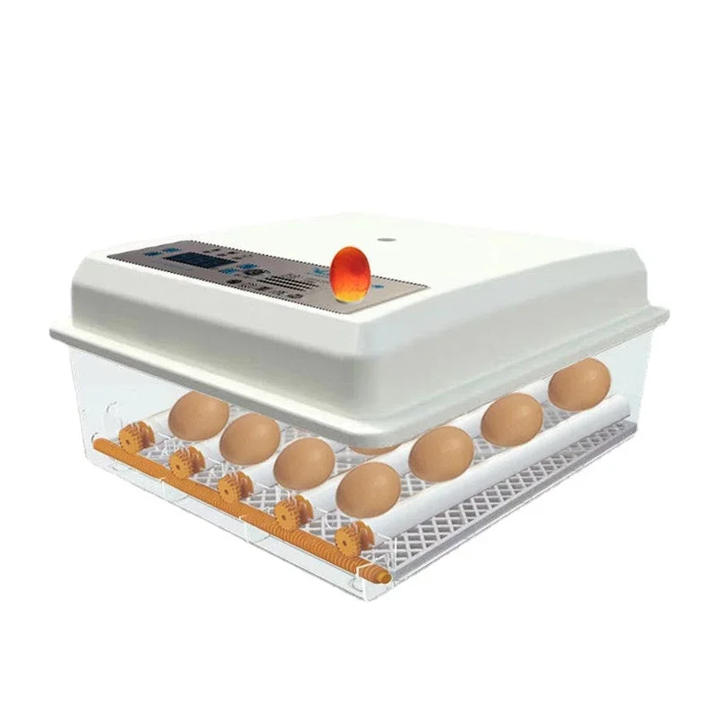 

Small Incubator 36 Pieces Automatic Home Smart Incubator 16/48/120/176 Pieces