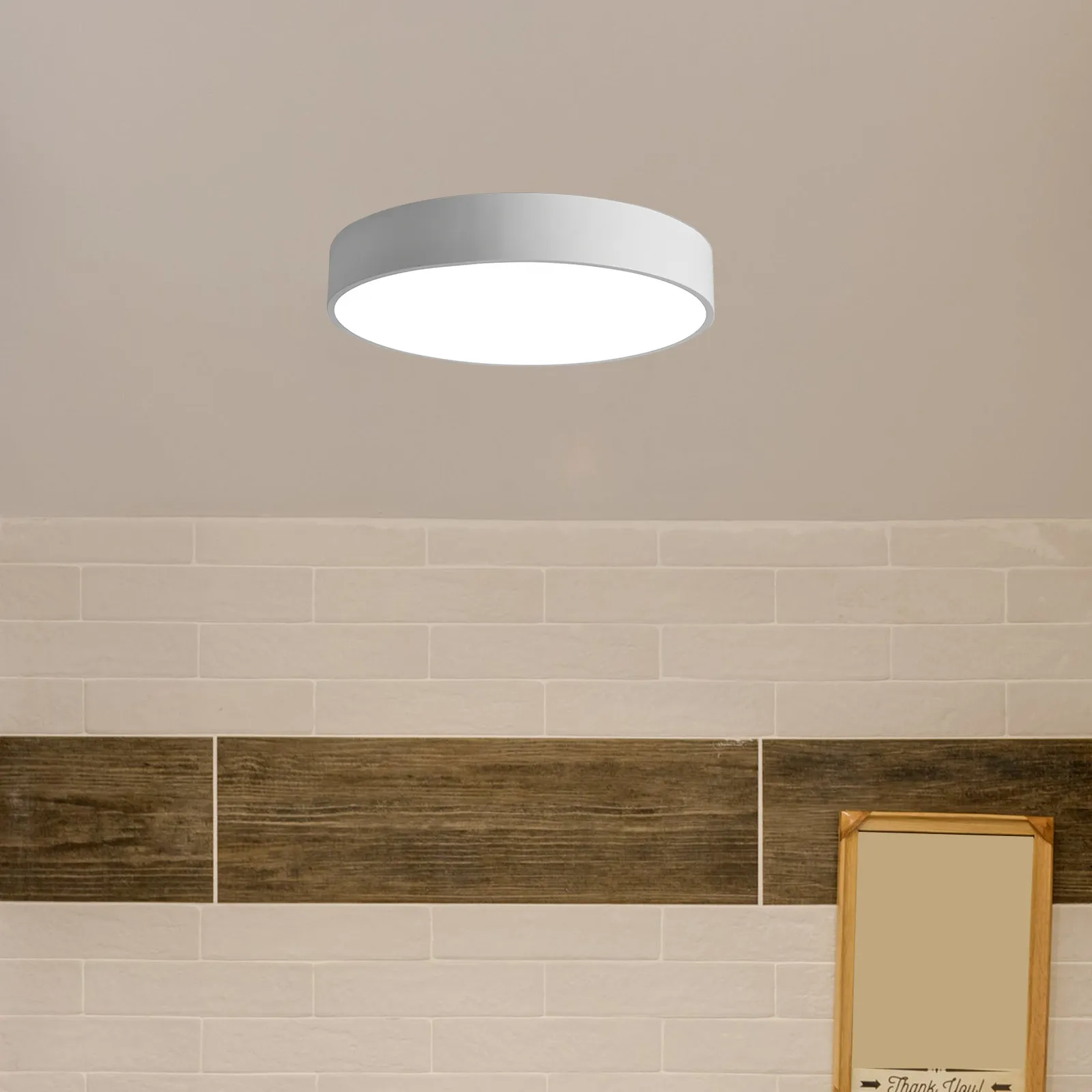 Round Frosted Acrylic Lampshade Diffuser 11.6 Diameter White Ceiling Lamp Shade Replacement Cover Soft Diffuser Sheet