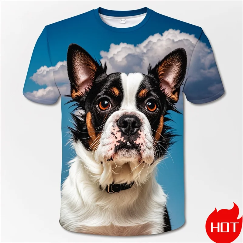 Fashion 3D Cute Doge Boston Terrier Printing T Shirt Kid Funny Streetwear Short Sleeves Unisex Harajuku Tee Shirts Mens Clothing