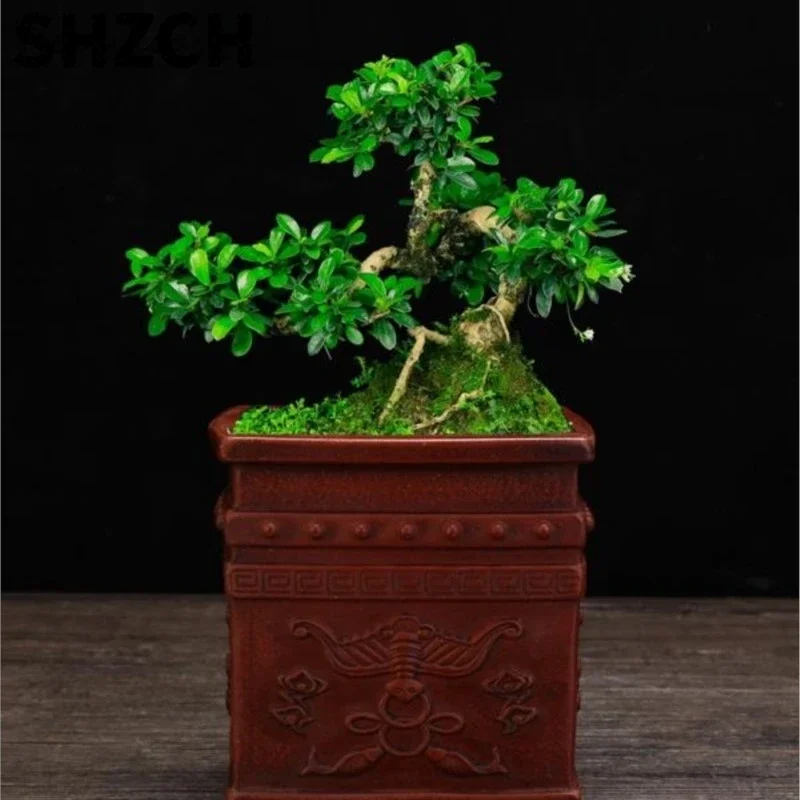 4Sizes 2025 Purple Sand Flower Pot Antique Square Flower Pot New Ceramic Desktop Orchid Succulent Flower Pot Home Decor LF658