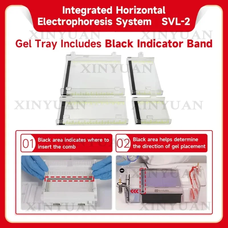 Portable Integrated Electrophoresis System Horizontal Electrophoresis Tank Electrophoresis Apparatus for PCR Lab
